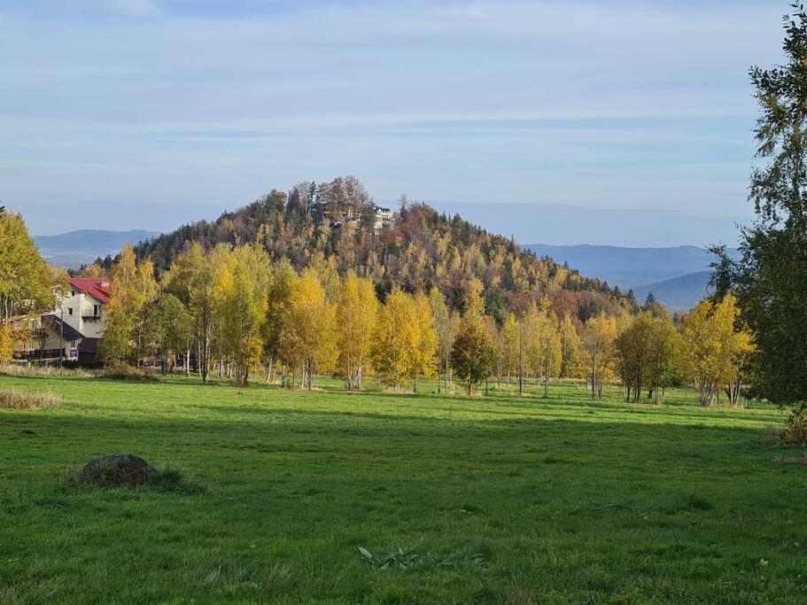 Rezydencja Green Hill - Ekskluzywny Dom W Karpaczu Bagian luar foto
