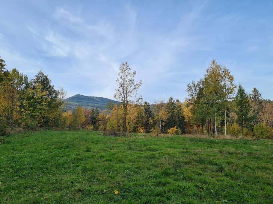 Rezydencja Green Hill - Ekskluzywny Dom W Karpaczu Bagian luar foto